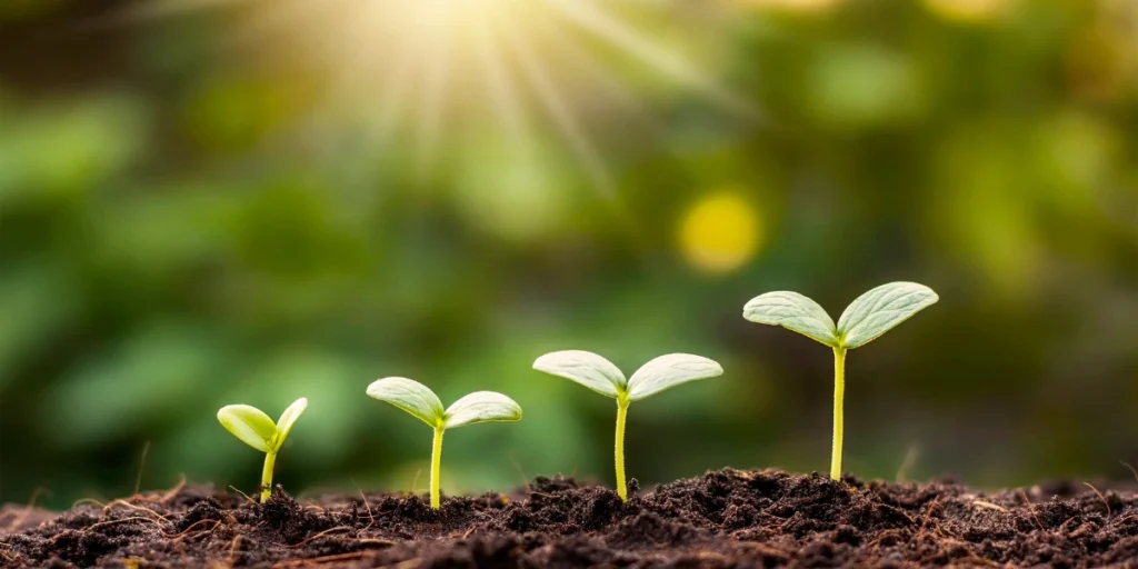 Growth Mindset FAQ explaining how developing a growth mindset takes time and practice