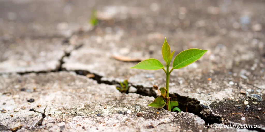 Christopher John Spurling mindset symbolized by growth emerging through adversity and pressure